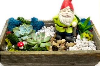 Plant Nite: You Gnome It Succulent Garden